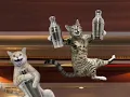 Happy New Year, Funny Cats Style!