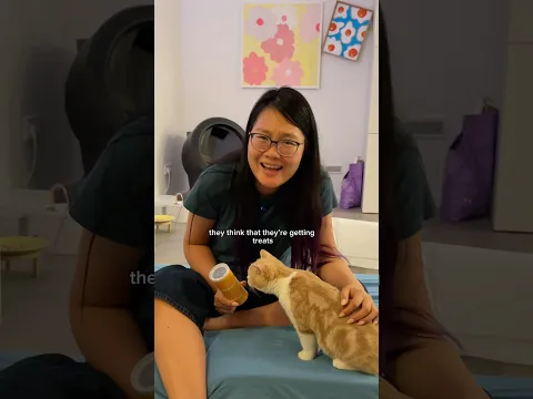 Taught my cats the wrong thing