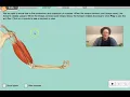 Muscles and Bones Working Lab 5 04