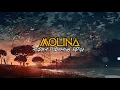 Download Lagu Cha Cha - MOLINA ( ANDIKA PUDIHANG REMIX )2021