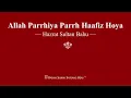 Download Lagu Allah Parrhiya Parrh Haafiz Hoya - Hazrat Sultan Bahu - RSSB Shabad