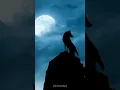 Download Lagu Suara Lolongan Serigala yang Seram dan Mengerikan! Cung Tangan yang Pernah Mendengar Secara Langsung