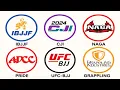 Every Jiu Jitsu Competition Explained In 16 Minutes