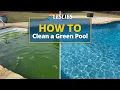How to Clean a Green Pool Leslie s