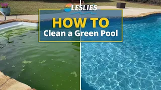 How to Clean a Green Pool Leslie s