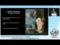 GopherCon 2022 Kraken Wrangling for Dummies Go Module Dependency Mgmt at Scale - Dylan Bourque