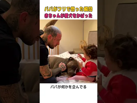 大好きな愛犬を守りたい！パパが怒るフリをした時の赤ちゃんの行動に感動の嵐😭  #犬と赤ちゃん #感動 #ショート