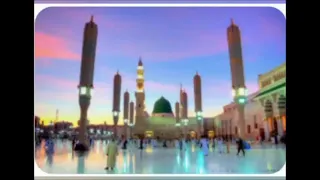 افتحي البوابة يا فاطمة دا النبي داعينا دندنها