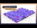 Morphing Grasshopper Mesh Plane