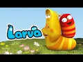 Download Lagu Larva: All End Credits Songs
