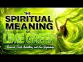 The Spiritual Meaning of Lime Green Renewal Fresh Anointing and New Beginnings