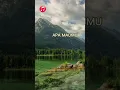 Download Lagu aku tak mau bicara sebelum kau cerita semua ~ at musik vibes