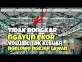 Download Lagu Penyebab murai batu tidak keluar emosi, tidak bongkar materi, ngayun ekor, volume tidak keluar