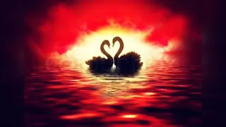 اغنيه حبيتك من قلبي 