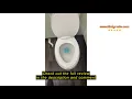 Review Generic Alere N America 7875 Instant Bluing Tablets Blue Tablet Dissolves in Toilet Water N