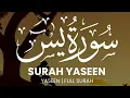 Download Lagu Surah Yaseen | Surah Yasin | Recited by Tareq Mohammed