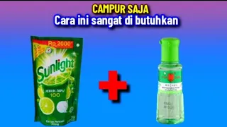 campur saja sunlight dan minyak kayu putih karena ada manfaat yang belum kalian ketahui