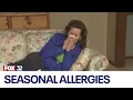 Chicago doctor talks fall allergies everything you need to know