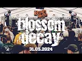 Download Lagu Blossom Decay - Return To Strength Fest 2024