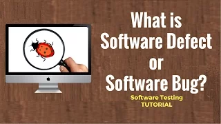 What is Software Defect or Software Bug Software Testing Tutorial 22