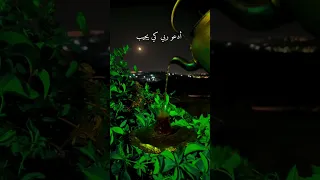 شغلتني كلمات ببالي كي تكوني حلالي  شغلتني كلمات ببالي كي تكوني حلالي