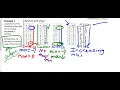 Algebra 1 Unit 2 Lesson 5 Max andMin and Graph Behavior