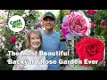 Lagu Inside a Master Rosarian's 300+ Rose Garden - Full Tour