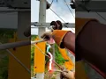 Download Lagu That's what 20,000 volts of high voltage electricity sounds like #shorts