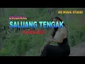 Download Lagu SALUANG TENGAK KARAOKE
