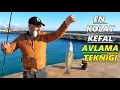 Download Lagu Kefal Avı.Dünyanın En Kolay Kefal Yakalama Tekniği...!!!