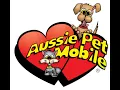 The Amazing Benefits of Becoming an Aussie Pet Mobile Franchise Owner