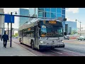 New Jersey Transit Bus Compilation in Newark New Jersey