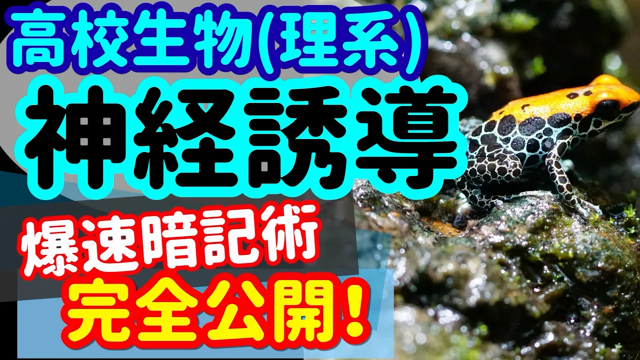 【高校生物 38】発生【ノギンなど】を宇宙一わかりやすく