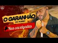 Download Lagu O GARANHÃO DO FORRÓ PRA TOCAR NAS CAVALGADAS #TBT #comitivasdobrasil  #paredão #piseiro