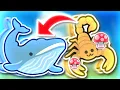 Mushroom Scorpion Whale is GODLIKE