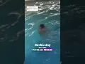 Orang buntung tenggelam di kolam renang #shortvideo #shorts