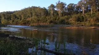 199 Banks Creek Road Fernvale 4306 QLD by John Galloway