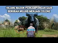 Lagu Ngeri !! Kisah Nyata Warga Desa Hilang Masuk Perkampungan Gaib Berubah Wujud Menjadi Celeng