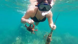 Catch Clean & Cook Lobster & Crab the Belizean Way – Ep 120 Sailing Luckyfish