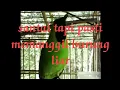 Download Lagu Suara panggilan cucak ijo jarak jauh