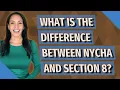 What is the difference between Nycha and Section 8