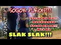 Download Lagu VIRAL❗️❗️Sogok Puron⁉️,, Sogok Ah ah,, aaaaaaa,, sogok ah ah,, We A Slak Slak❗️❗️