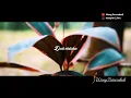 Download Lagu Story wa kekinian