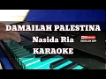 Download Lagu Damailah Palestina NASIDA RIA KARAOKE FULL LIRIK