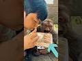 He Tried To Feed A Wild Monkey Look How It Reacted