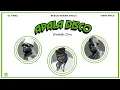 DJ TUNEZ, TERRY APALA & MUSILIU HARUNA ISHOLA - APALA DISCO REMIX