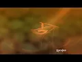 200 copas - Karol G | Karaoke Version | KaraFun