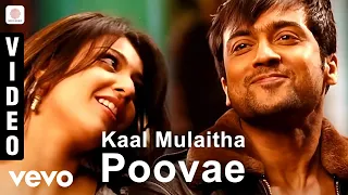 maattrraan kaal mulaitha poovae video suriya kajal agarwal