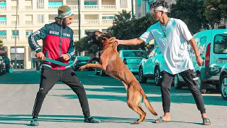 فيلم قصير وفاء الكلاب تسبب لكلبه الوفي في الموت نهاية غير متوقعة 