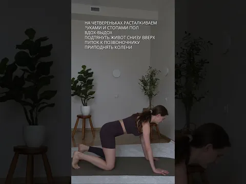 Торчащий живот не всегда связан с лишним жиром🌟